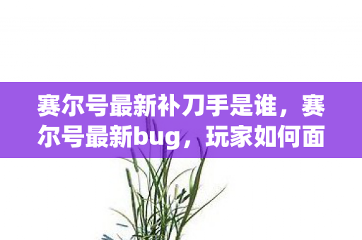 赛尔号最新补刀手是谁,赛尔号最新bug,玩家如何面对与应对 赛尔号最新补刀手是谁,赛尔号最新bug,玩家如何面对与应对
