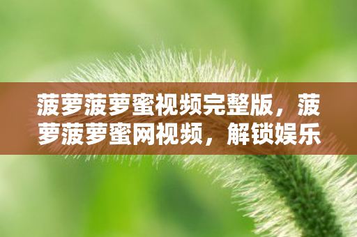 菠萝菠萝蜜视频完整版,菠萝菠萝蜜网视频,解锁娱乐新世界的钥匙 菠萝菠萝蜜视频完整版,菠萝菠萝蜜网视频,解锁娱乐新世界的钥匙