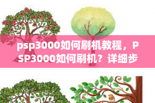 psp3000如何刷机教程,PSP3000如何刷机?详细步骤与注意事项 psp3000如何刷机教程,PSP3000如何刷机?详细步骤与注意事项