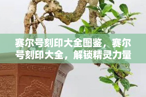 赛尔号刻印大全图鉴,赛尔号刻印大全,解锁精灵力量的关键 赛尔号刻印大全图鉴,赛尔号刻印大全,解锁精灵力量的关键