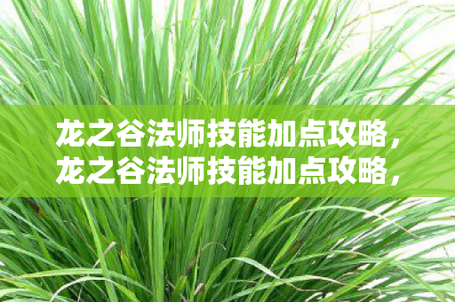龙之谷法师技能加点攻略,龙之谷法师技能加点攻略,打造最强法师,征服魔幻大陆 龙之谷法师技能加点攻略,龙之谷法师技能加点攻略,打造最强法师,征服魔幻大陆