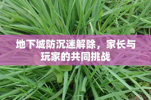 地下城防沉迷解除,家长与玩家的共同挑战 地下城防沉迷解除,家长与玩家的共同挑战