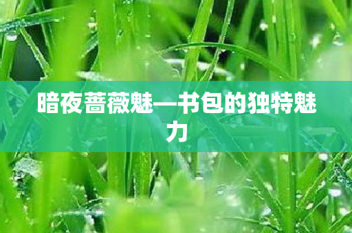 暗夜蔷薇魅—书包的独特魅力 暗夜蔷薇魅—书包的独特魅力