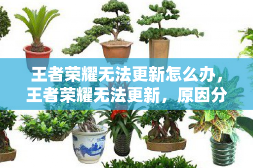 王者荣耀无法更新怎么办，王者荣耀无法更新，原因分析与解决方案