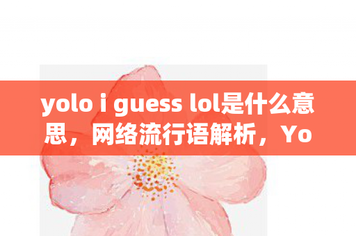 yolo i guess lol是什么意思,网络流行语解析,Yolo、I Guess、Lol的含义与起源 yolo i guess lol是什么意思,网络流行语解析,Yolo、I Guess、Lol的含义与起源
