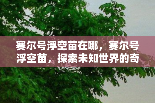 赛尔号浮空苗在哪,赛尔号浮空苗,探索未知世界的奇妙之旅 赛尔号浮空苗在哪,赛尔号浮空苗,探索未知世界的奇妙之旅
