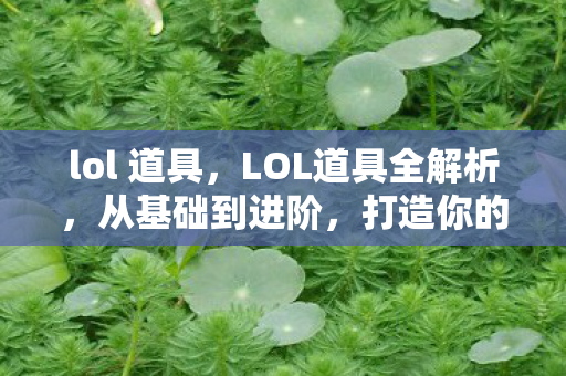 lol 道具,LOL道具全解析,从基础到进阶,打造你的游戏优势 lol 道具,LOL道具全解析,从基础到进阶,打造你的游戏优势
