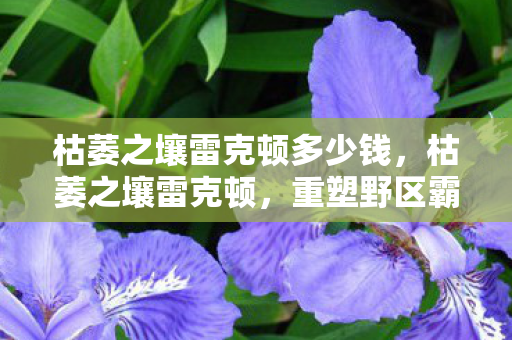 枯萎之壤雷克顿多少钱,枯萎之壤雷克顿,重塑野区霸主的传奇 枯萎之壤雷克顿多少钱,枯萎之壤雷克顿,重塑野区霸主的传奇