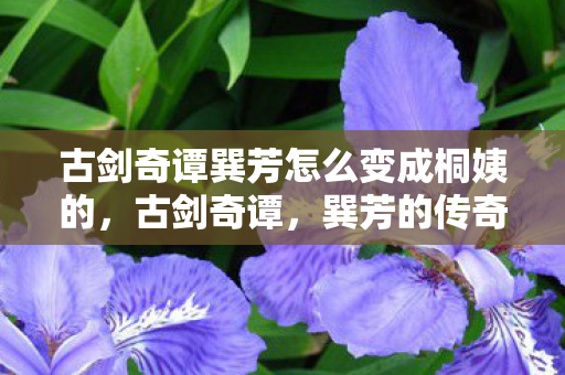古剑奇谭巽芳怎么变成桐姨的,古剑奇谭,巽芳的传奇 古剑奇谭巽芳怎么变成桐姨的,古剑奇谭,巽芳的传奇