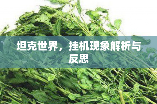 坦克世界,挂机现象解析与反思 坦克世界,挂机现象解析与反思