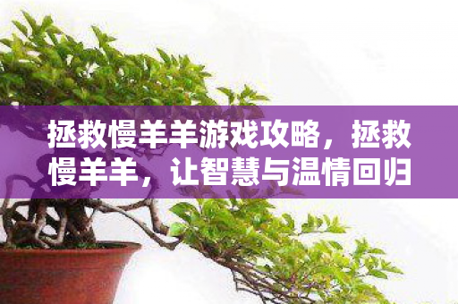 拯救慢羊羊游戏攻略，拯救慢羊羊，让智慧与温情回归的奇妙旅程