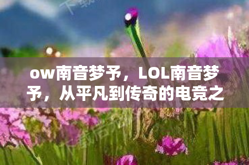 ow南音梦予,LOL南音梦予,从平凡到传奇的电竞之路 ow南音梦予,LOL南音梦予,从平凡到传奇的电竞之路
