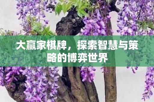 大赢家棋牌，探索智慧与策略的博弈世界