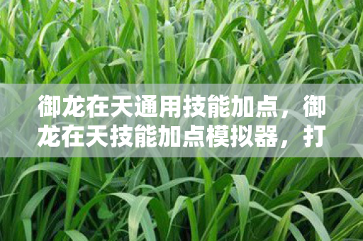 御龙在天通用技能加点，御龙在天技能加点模拟器，打造你的专属角色