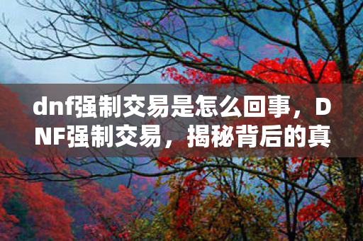 dnf强制交易是怎么回事，DNF强制交易，揭秘背后的真相与影响