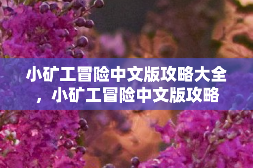 小矿工冒险中文版攻略大全,小矿工冒险中文版攻略 小矿工冒险中文版攻略大全,小矿工冒险中文版攻略