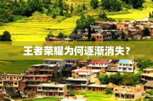 王者荣耀为何逐渐消失? 王者荣耀为何逐渐消失?