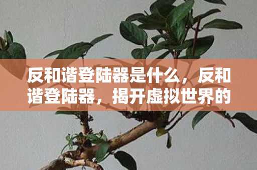 反和谐登陆器是什么,反和谐登陆器,揭开虚拟世界的神秘面纱 反和谐登陆器是什么,反和谐登陆器,揭开虚拟世界的神秘面纱