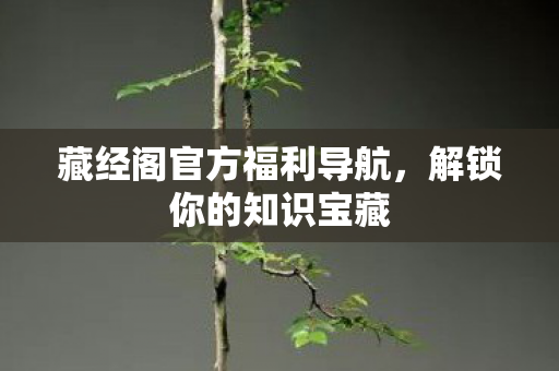 藏经阁官方福利导航,解锁你的知识宝藏 藏经阁官方福利导航,解锁你的知识宝藏