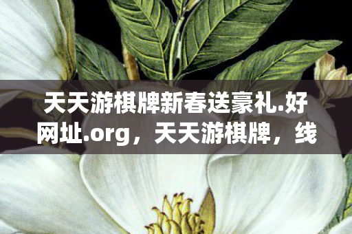 天天游棋牌新春送豪礼.好网址.org,天天游棋牌,线上棋牌游戏的魅力与乐趣 天天游棋牌新春送豪礼.好网址.org,天天游棋牌,线上棋牌游戏的魅力与乐趣