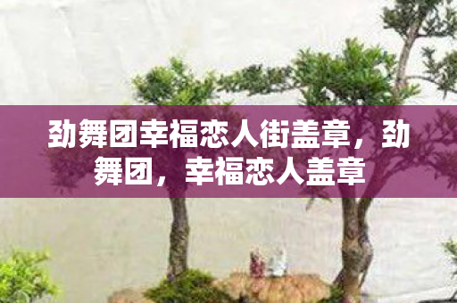 劲舞团幸福恋人街盖章,劲舞团,幸福恋人盖章 劲舞团幸福恋人街盖章,劲舞团,幸福恋人盖章