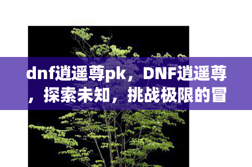 dnf逍遥尊pk,DNF逍遥尊,探索未知,挑战极限的冒险之旅 dnf逍遥尊pk,DNF逍遥尊,探索未知,挑战极限的冒险之旅