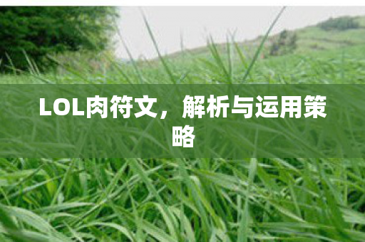 LOL肉符文,解析与运用策略 LOL肉符文,解析与运用策略