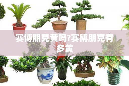 赛博朋克黄吗?赛博朋克有多黄 赛博朋克黄吗?赛博朋克有多黄
