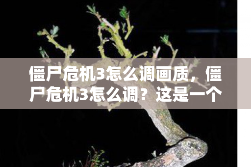 僵尸危机3怎么调画质，僵尸危机3怎么调？这是一个关于如何调整和优化游戏设置的问题，对于想要提升游戏体验的玩家来说，这是一个非常实用的问题。下面，我将从多个方面为大家介绍如何调整僵尸危机3的游戏设置