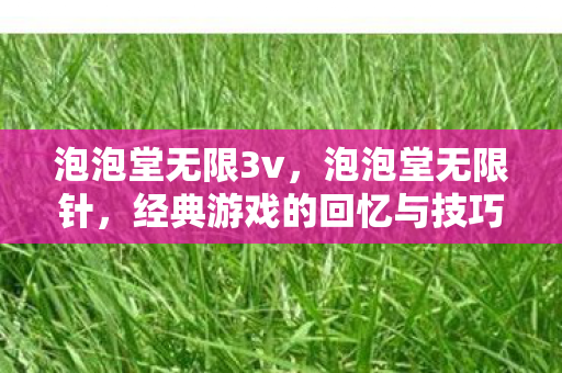 泡泡堂无限3v,泡泡堂无限针,经典游戏的回忆与技巧 泡泡堂无限3v,泡泡堂无限针,经典游戏的回忆与技巧