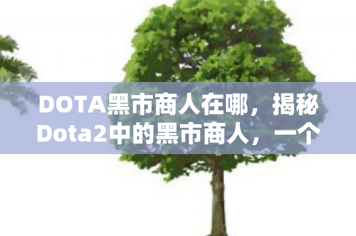 DOTA黑市商人在哪，揭秘Dota2中的黑市商人，一个隐秘而危险的世界