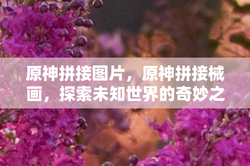 原神拼接图片,原神拼接械画,探索未知世界的奇妙之旅 原神拼接图片,原神拼接械画,探索未知世界的奇妙之旅