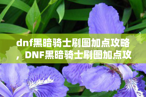 dnf黑暗骑士刷图加点攻略,DNF黑暗骑士刷图加点攻略 dnf黑暗骑士刷图加点攻略,DNF黑暗骑士刷图加点攻略