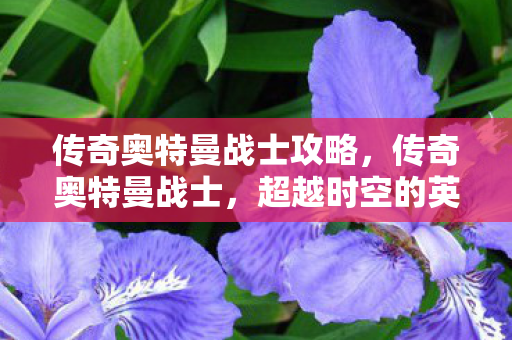 传奇奥特曼战士攻略，传奇奥特曼战士，超越时空的英雄传说