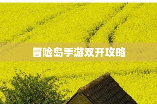 冒险岛手游双开攻略 冒险岛手游双开攻略