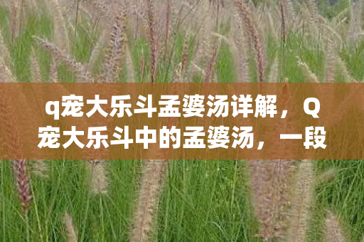 q宠大乐斗孟婆汤详解，Q宠大乐斗中的孟婆汤，一段奇幻旅程的起点