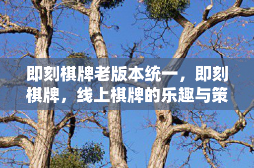即刻棋牌老版本统一,即刻棋牌,线上棋牌的乐趣与策略 即刻棋牌老版本统一,即刻棋牌,线上棋牌的乐趣与策略