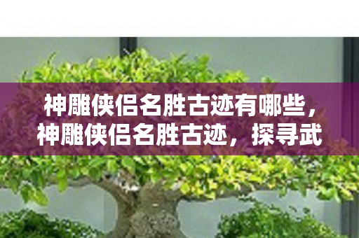 神雕侠侣名胜古迹有哪些,神雕侠侣名胜古迹,探寻武侠世界的真实遗迹 神雕侠侣名胜古迹有哪些,神雕侠侣名胜古迹,探寻武侠世界的真实遗迹