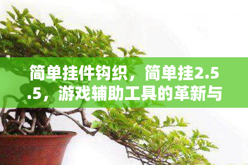 简单挂件钩织,简单挂2.5.5,游戏辅助工具的革新与未来展望 简单挂件钩织,简单挂2.5.5,游戏辅助工具的革新与未来展望