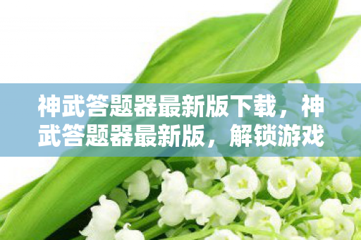神武答题器最新版下载，神武答题器最新版，解锁游戏新境界的必备神器