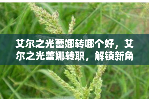 艾尔之光蕾娜转哪个好，艾尔之光蕾娜转职，解锁新角色，探索未知领域