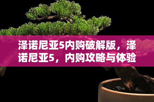 泽诺尼亚5内购破解版,泽诺尼亚5,内购攻略与体验分享 泽诺尼亚5内购破解版,泽诺尼亚5,内购攻略与体验分享