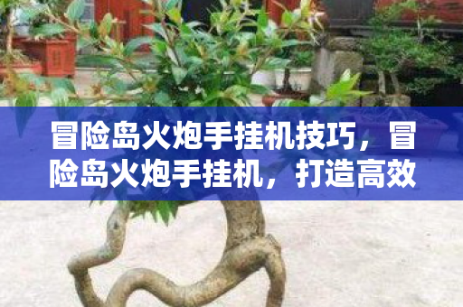 冒险岛火炮手挂机技巧,冒险岛火炮手挂机,打造高效战斗体验 冒险岛火炮手挂机技巧,冒险岛火炮手挂机,打造高效战斗体验