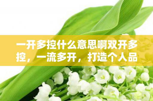 一开多控什么意思啊双开多控,一流多开,打造个人品牌的多元化策略 一开多控什么意思啊双开多控,一流多开,打造个人品牌的多元化策略