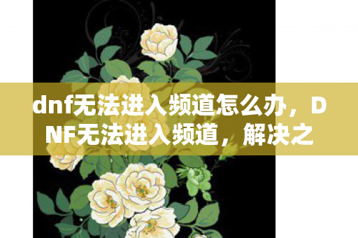 dnf无法进入频道怎么办,DNF无法进入频道,解决之道与原因分析 dnf无法进入频道怎么办,DNF无法进入频道,解决之道与原因分析