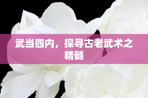 武当四内，探寻古老武术之精髓
