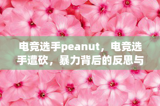 电竞选手peanut,电竞选手遭砍,暴力背后的反思与呼吁 电竞选手peanut,电竞选手遭砍,暴力背后的反思与呼吁