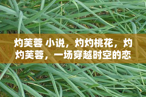 灼芙蓉 小说,灼灼桃花,灼灼芙蓉,一场穿越时空的恋曲 灼芙蓉 小说,灼灼桃花,灼灼芙蓉,一场穿越时空的恋曲