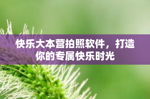 快乐大本营拍照软件,打造你的专属快乐时光 快乐大本营拍照软件,打造你的专属快乐时光