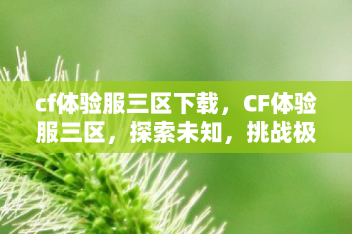 cf体验服三区下载,CF体验服三区,探索未知,挑战极限 cf体验服三区下载,CF体验服三区,探索未知,挑战极限